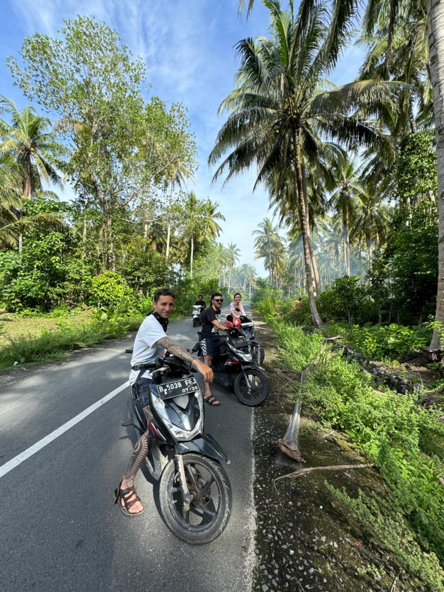 Walur Surf